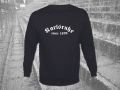 Sweater 'Karlsruhe - since 1894'
