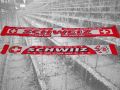 Schal 'Schweiz' Hopp Schwiiz